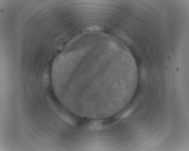 X0000076300080200610271925