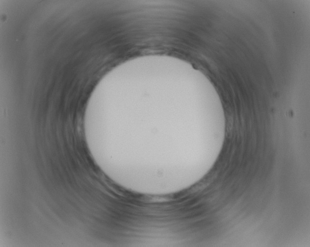 X0000076300081200610271925