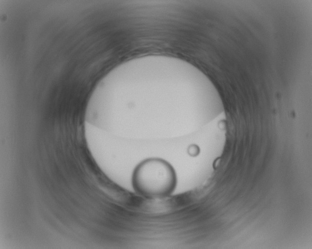 X0000076300082200610271925