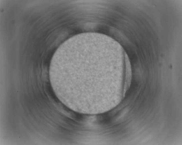 X0000076300083200610271925