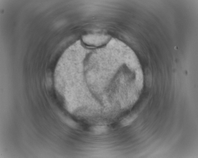 X0000076300085200610271925