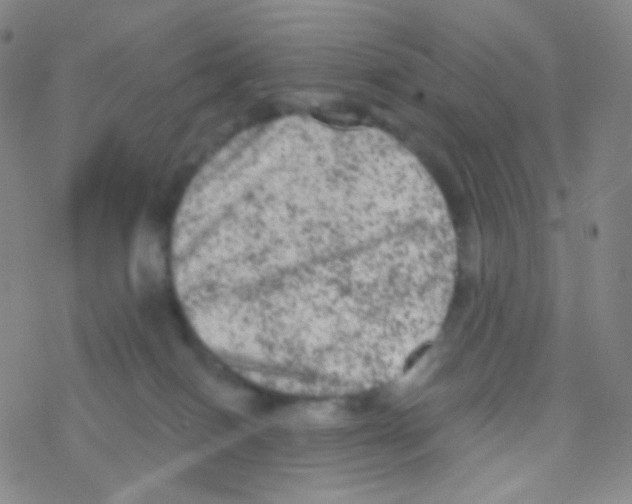 X0000076300086200610271925