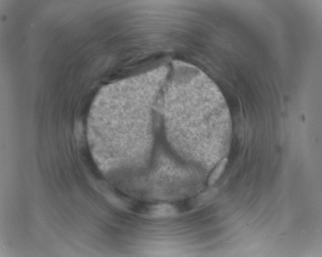 X0000076300087200610271925