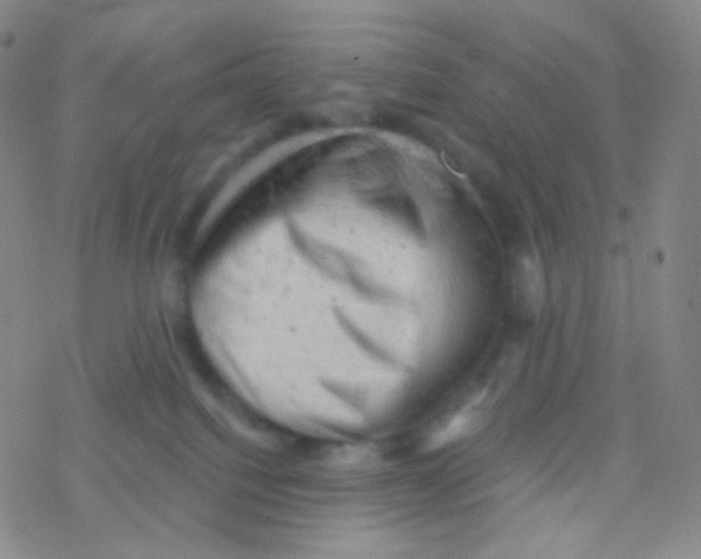 X0000076300088200610271925