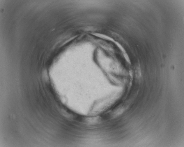 X0000076300089200610271925