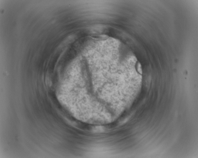 X0000076300091200610271925