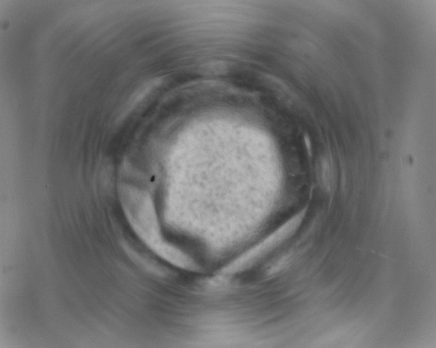 X0000076300092200610271925