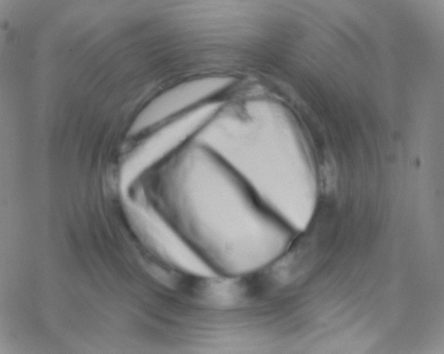 X0000076300093200610271925