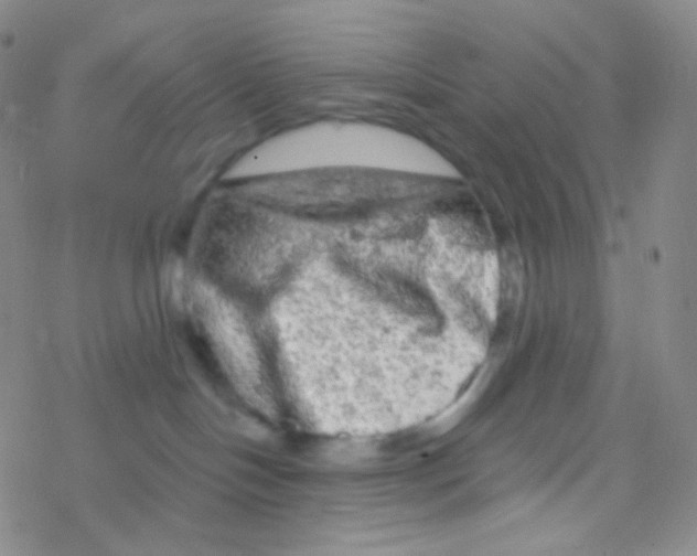 X0000076300094200610271925