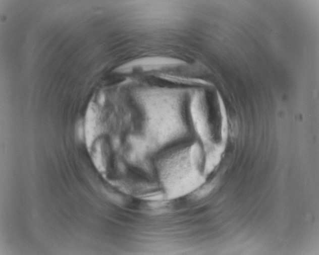 X0000076300095200610271925