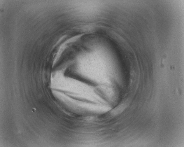 X0000076300096200610271925