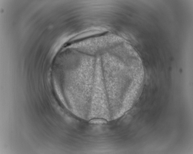 X0000076300098200610271924