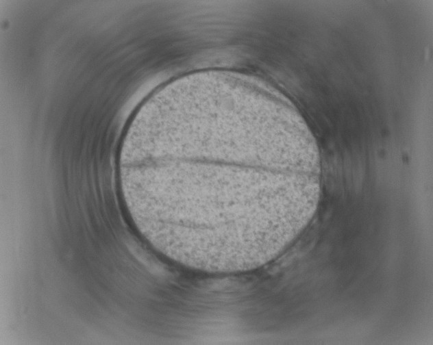 X0000076300100200610271924