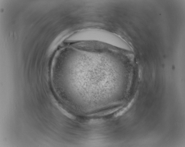 X0000076300101200610271924