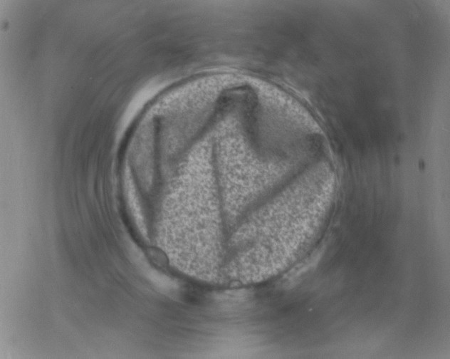 X0000076300102200610271924