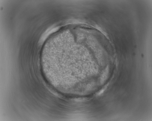 X0000076300103200610271924