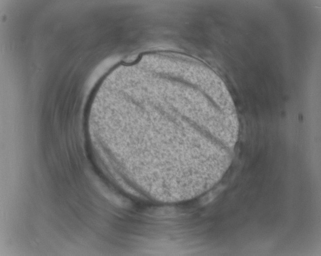 X0000076300104200610271924