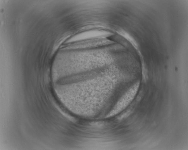 X0000076300105200610271924