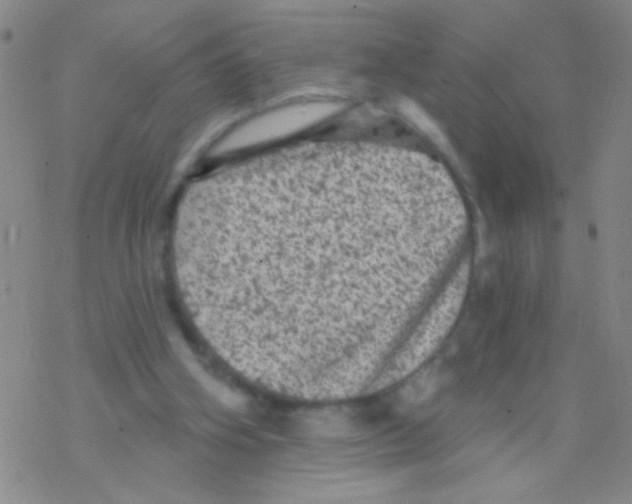 X0000076300106200610271924