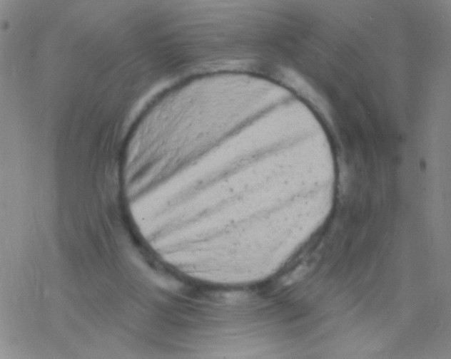 X0000076300107200610271924