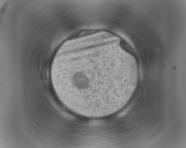 X0000076300109200610271924