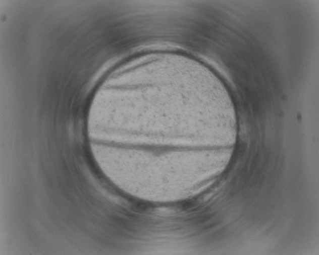 X0000076300111200610271924