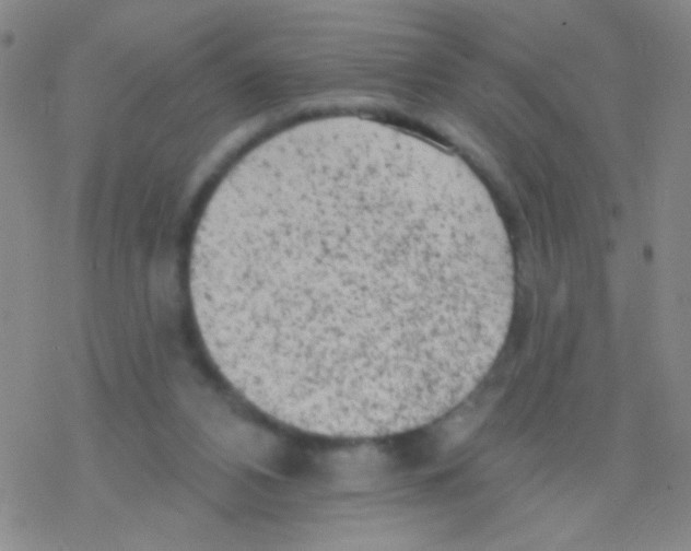 X0000076300112200610271924