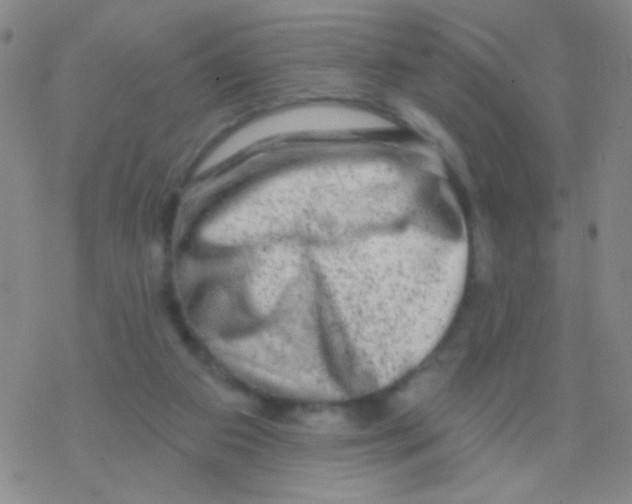 X0000076300113200610271924