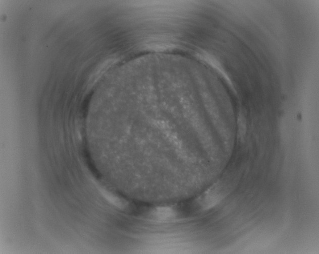 X0000076300114200610271924