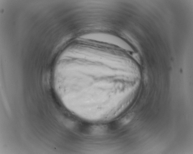 X0000076300115200610271924