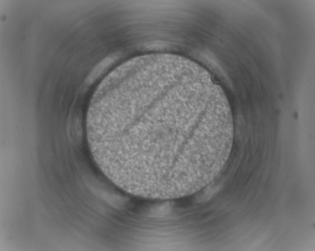 X0000076300116200610271924