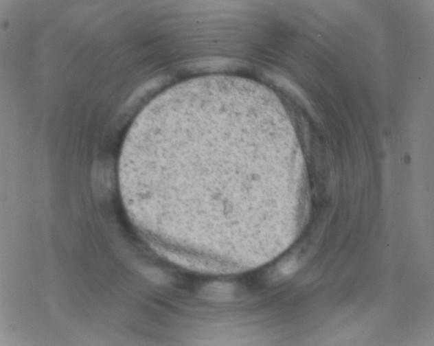 X0000076300119200610271924