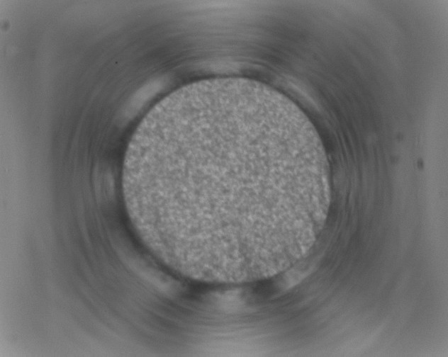 X0000076300120200610271924