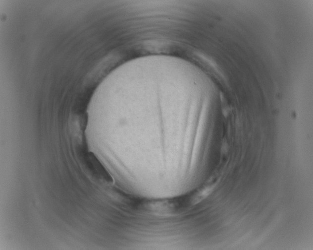 X0000076300121200610271924