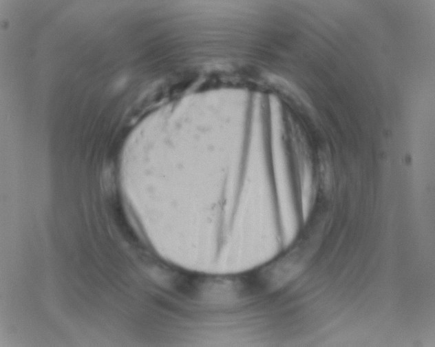 X0000076300123200610271924