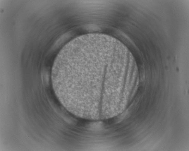 X0000076300124200610271924