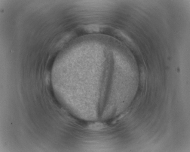 X0000076300125200610271924