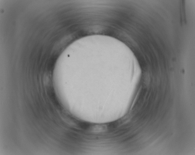 X0000076300126200610271924