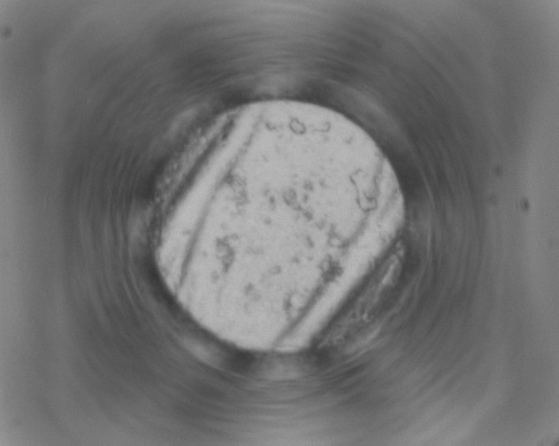 X0000076300127200610271924