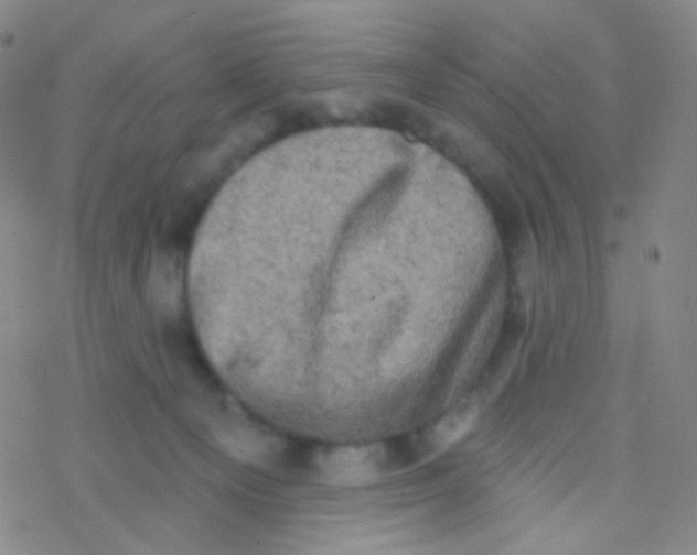 X0000076300129200610271924