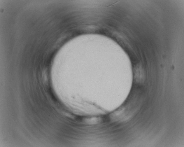 X0000076300131200610271924