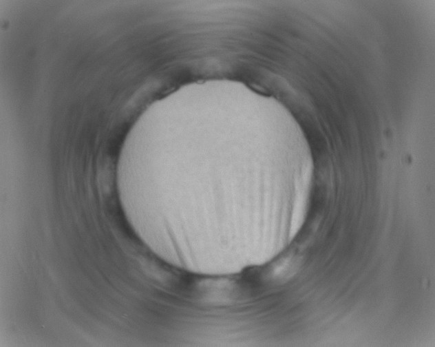 X0000076300133200610271924