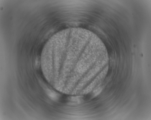 X0000076300134200610271924