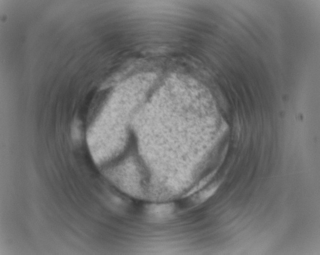 X0000076300135200610271924