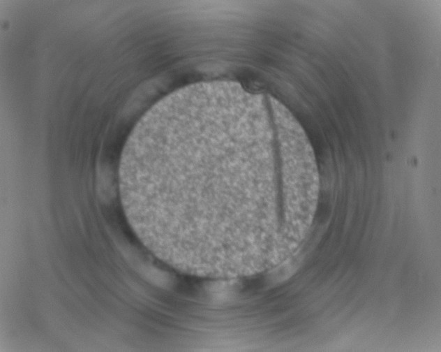 X0000076300136200610271924