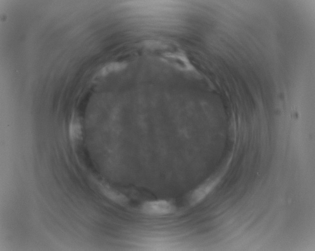 X0000076300137200610271924