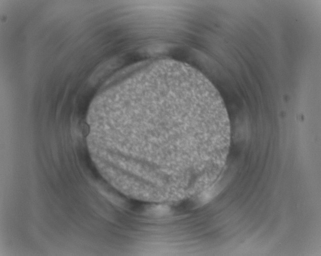 X0000076300140200610271923