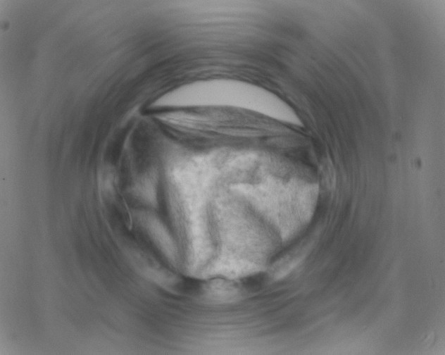 X0000076300141200610271923