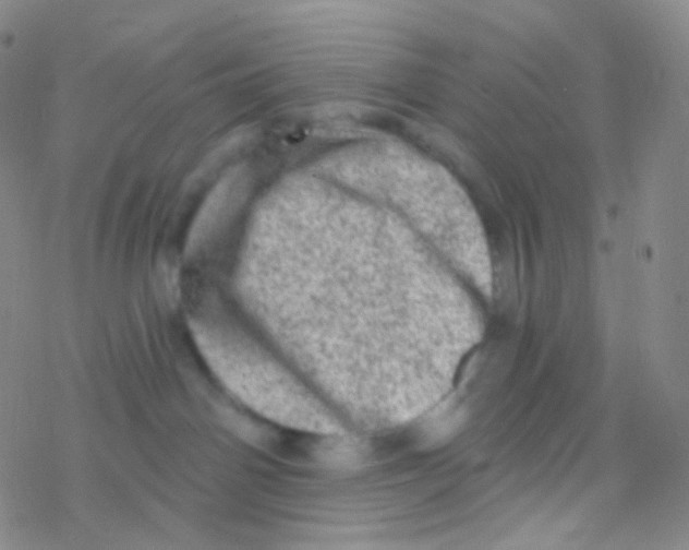 X0000076300142200610271923