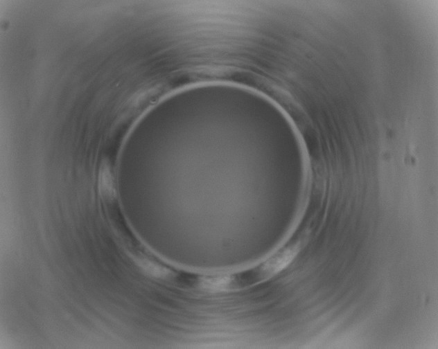 X0000076300143200610271923